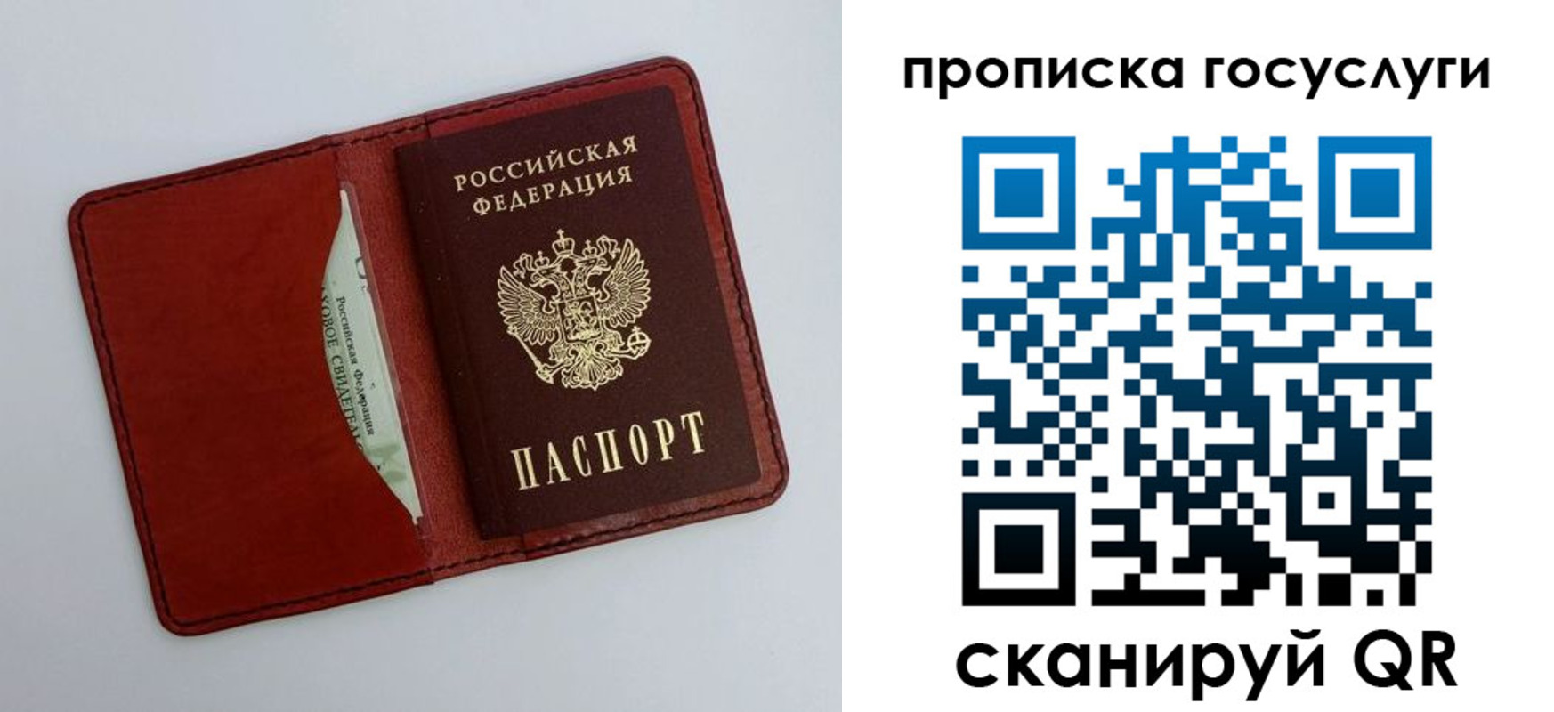 прописка паспорт в Пионерском